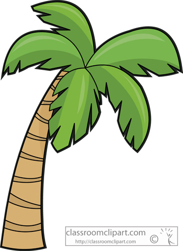 palm clipart drawn