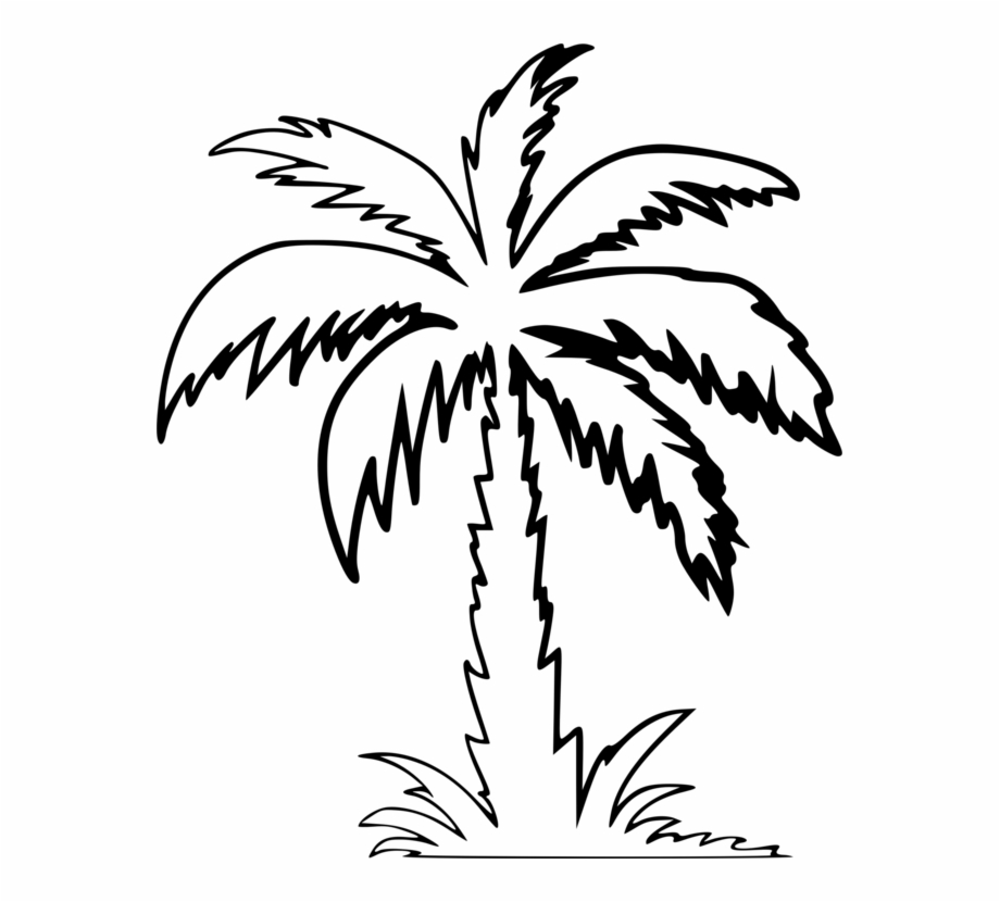 palm clipart drawn