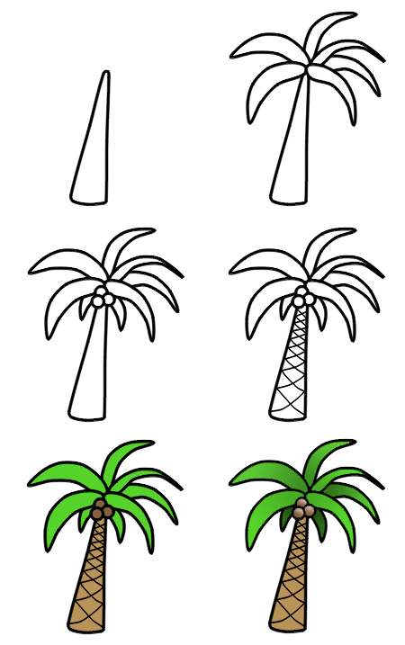 Palm clipart easy. How to draw trees