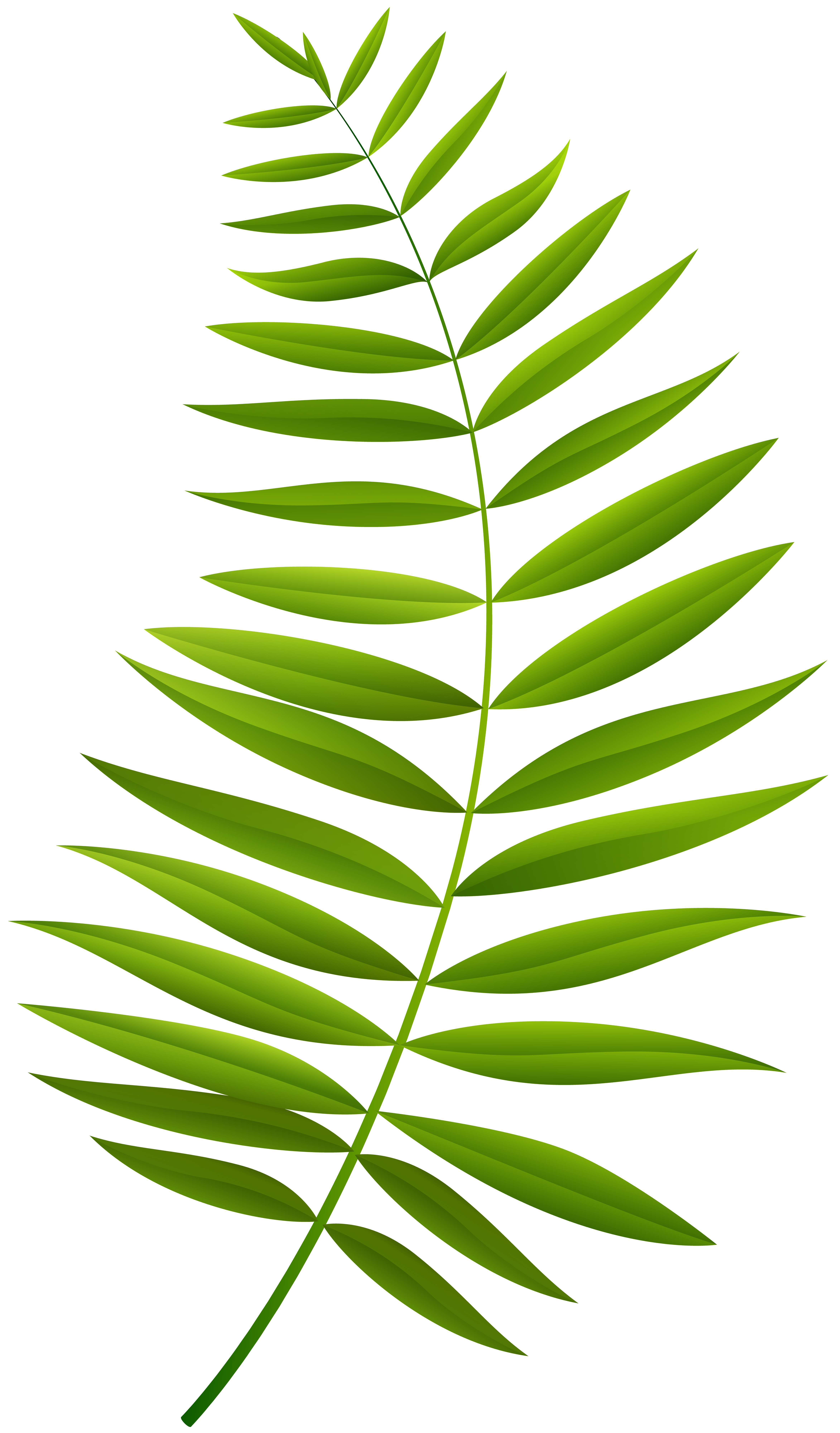 Palm Clipart Green Branch Palm Green Branch Transparent FREE For