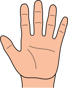 palm clipart hand palm