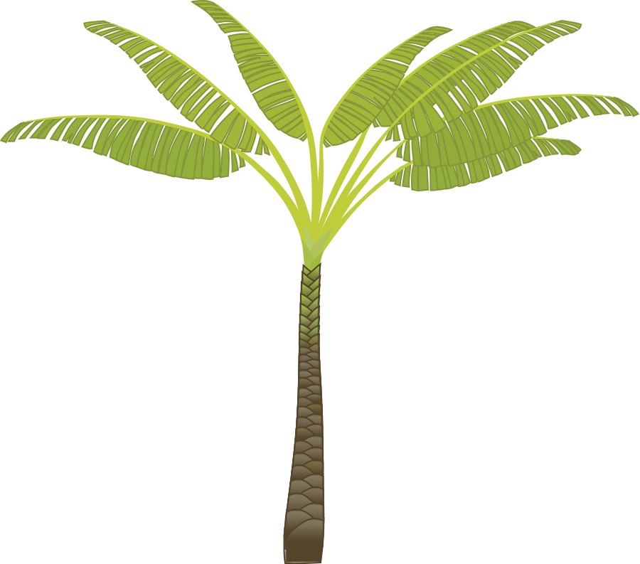 palm clipart khajoor