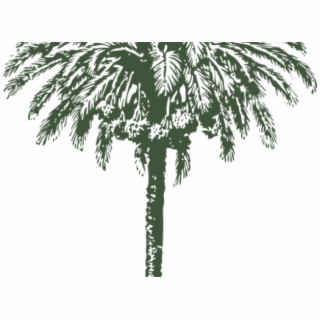 palm clipart khajoor