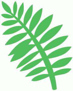 palm clipart leafy branch