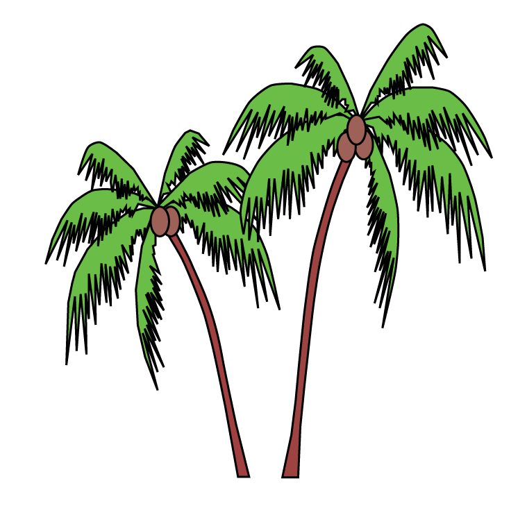 Palm local