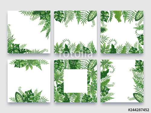 Exotic leaves frame tropical. Palm clipart nature design