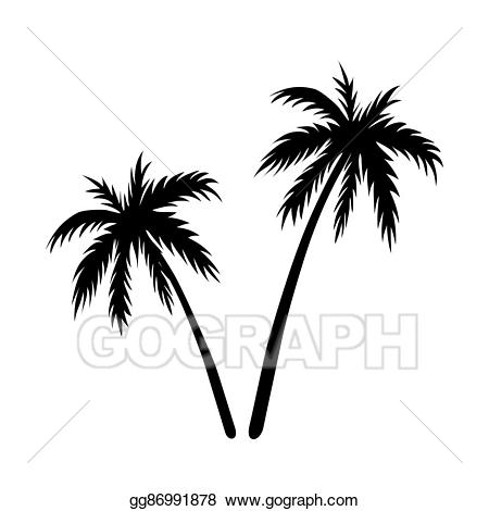 Vector illustration two palms. Palm clipart nature design