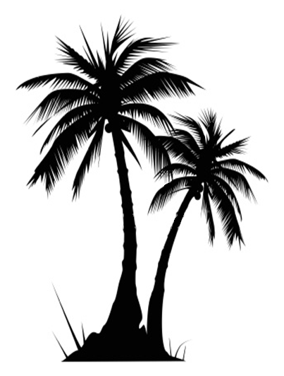 palm clipart palm florida trees