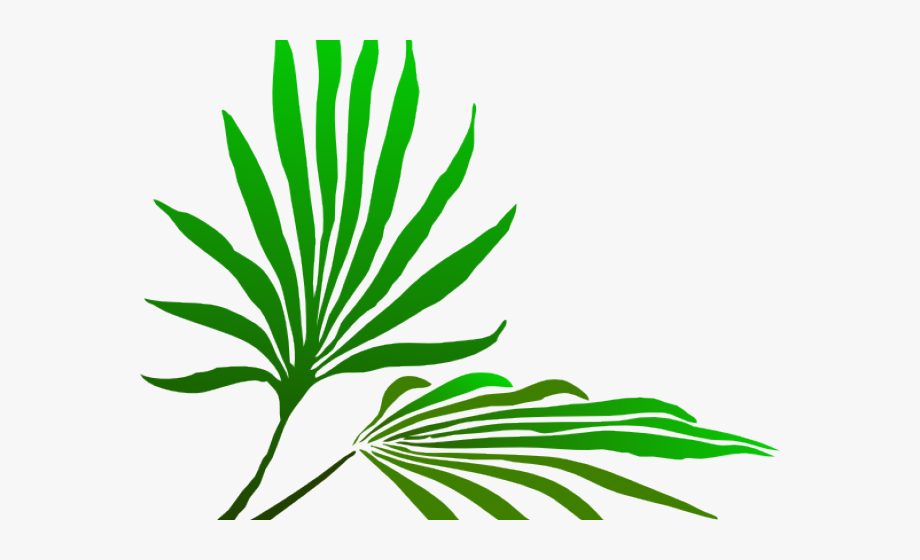 Leaf clip art free. Palm clipart palm frond