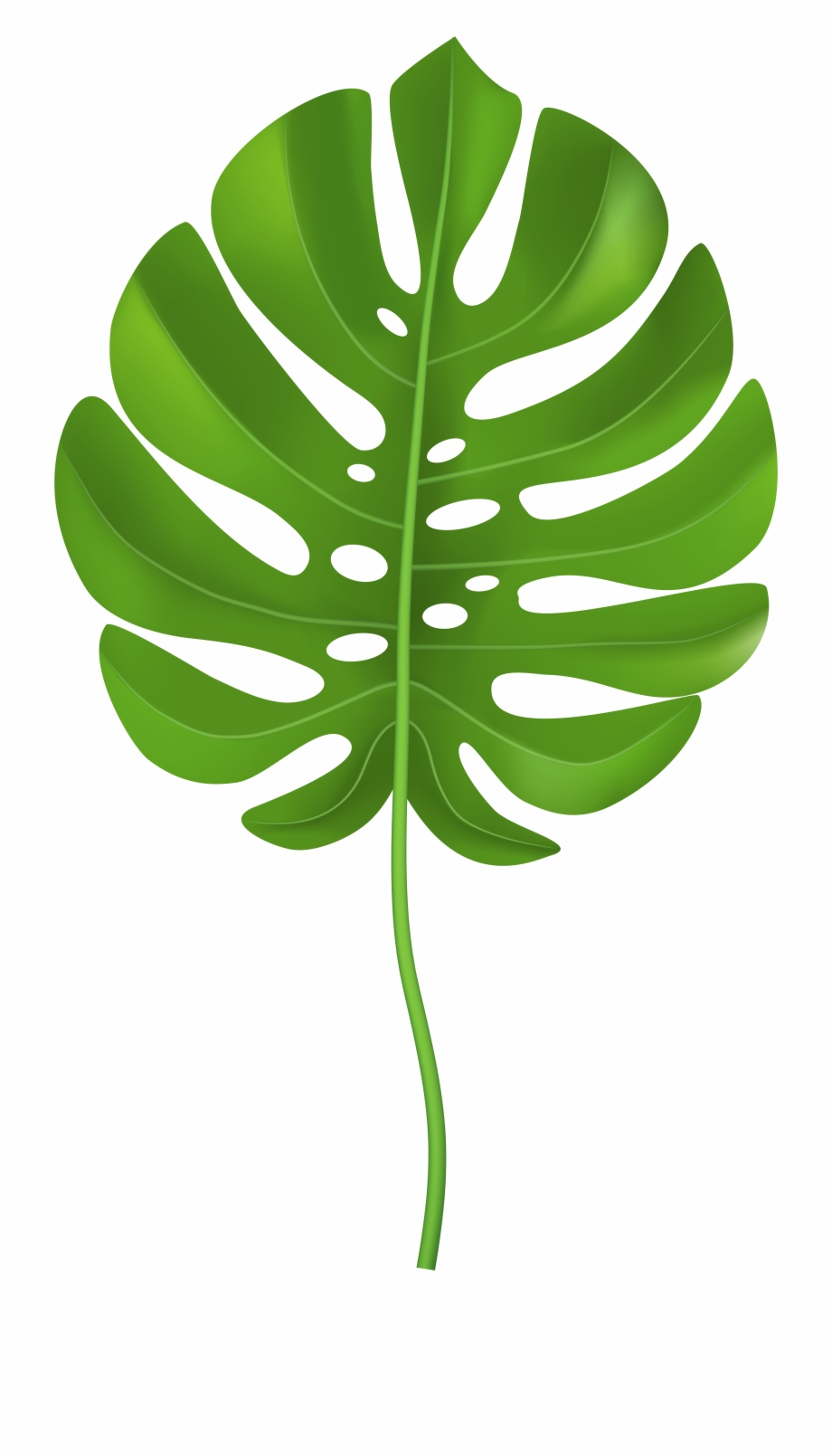 palm clipart palm leaves