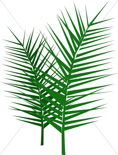 palm clipart palm sunday