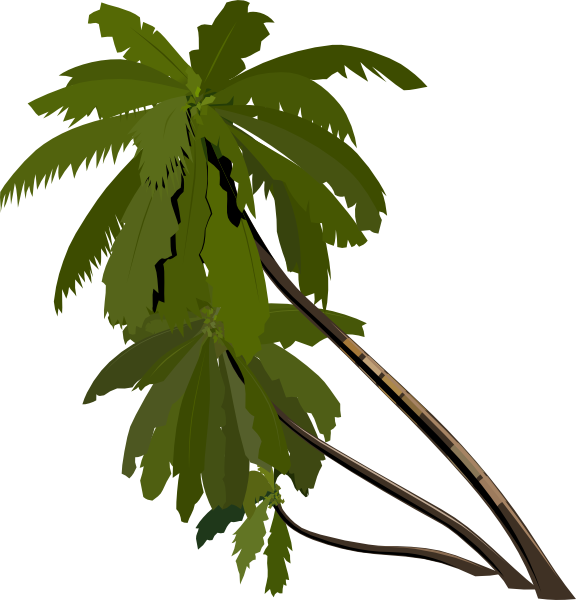 palm clipart palmas