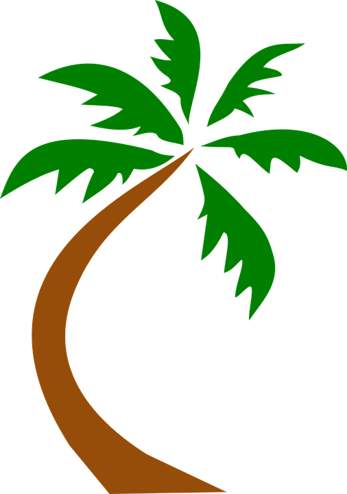 Windy clipart palm tree. Collection of free curved
