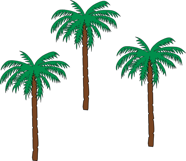 palm clipart pom tree