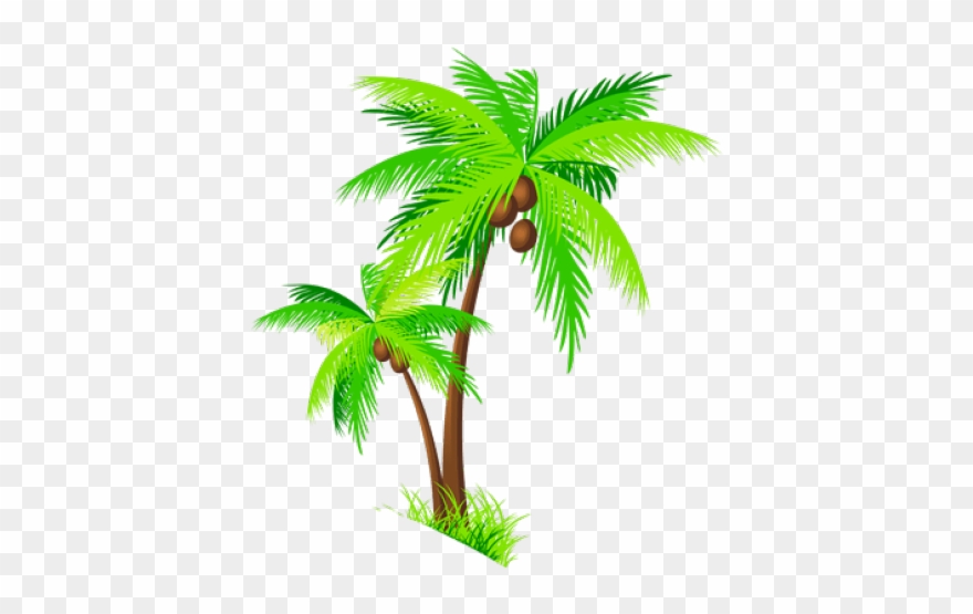 palm clipart realistic