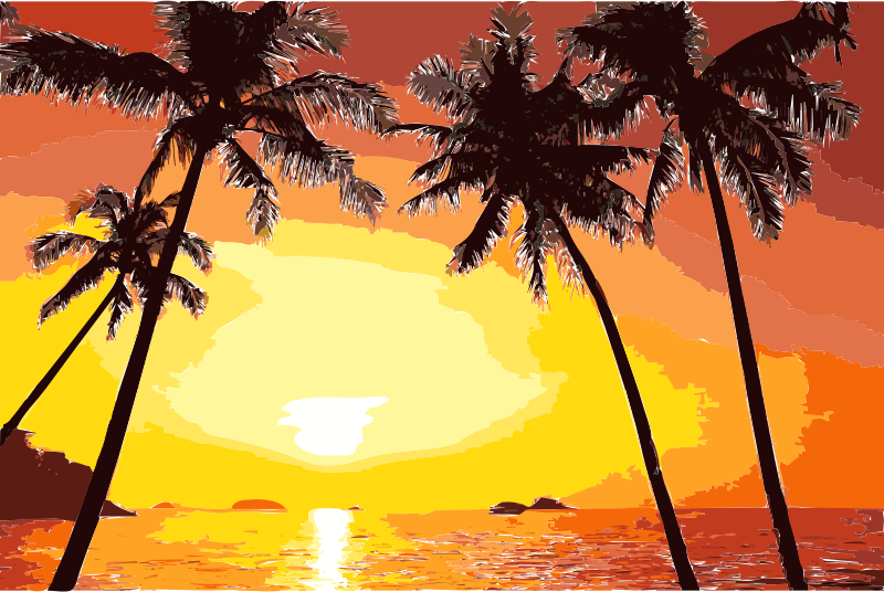 palm clipart sunset