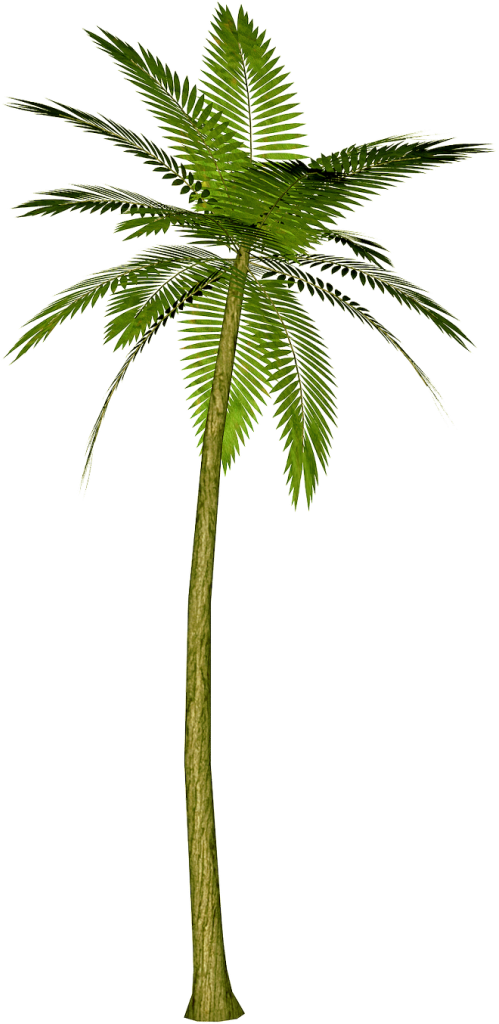 Retro palm tree