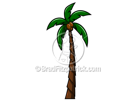 palm clipart tall short tree