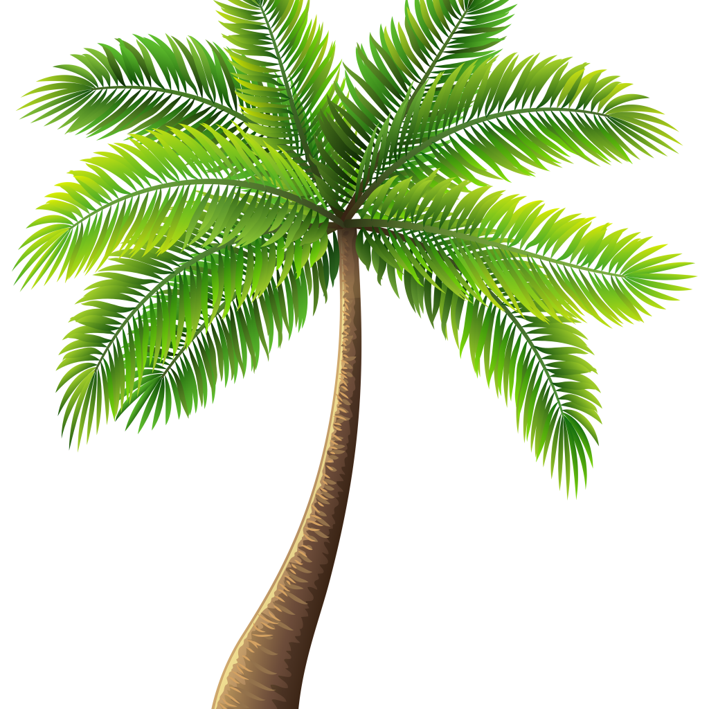 palm clipart tree painting