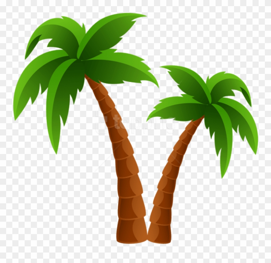 palm clipart two