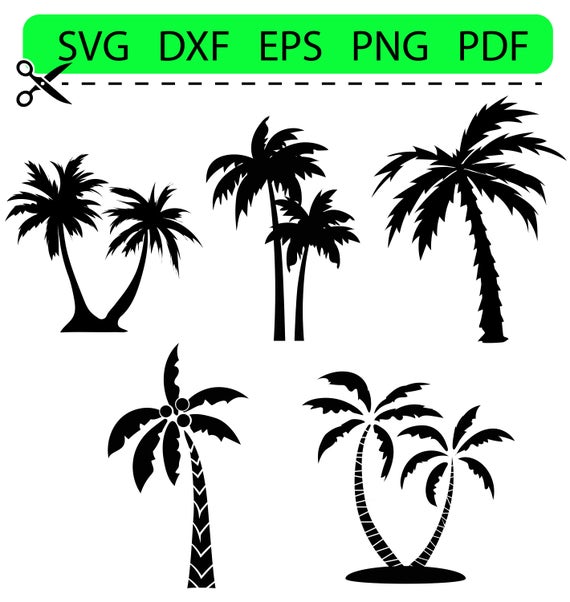 Tree svg . Palm clipart used