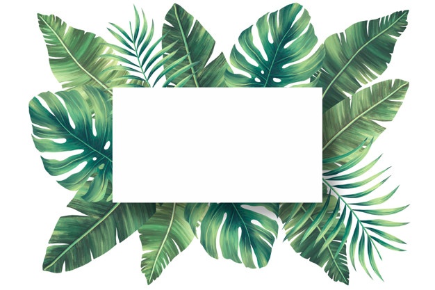 palm clipart vector
