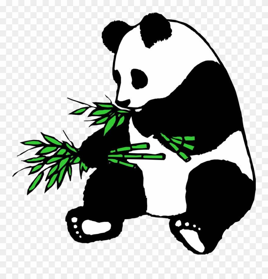 Panda clipart bamboo drawing, Panda bamboo drawing Transparent FREE for