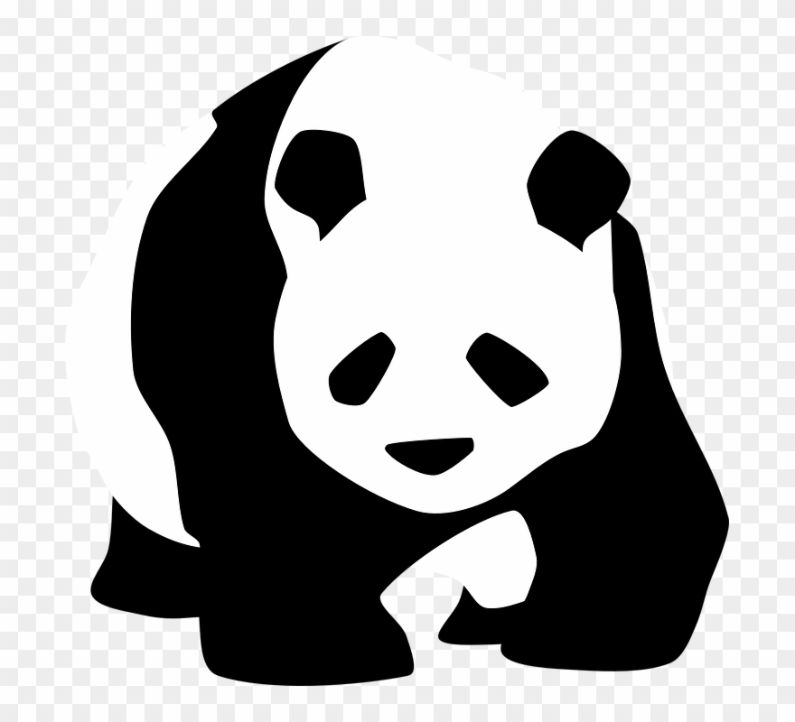 panda clipart endangered animal