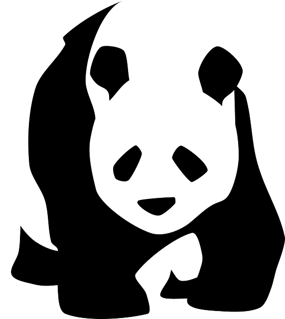 panda clipart pumpkin stencil