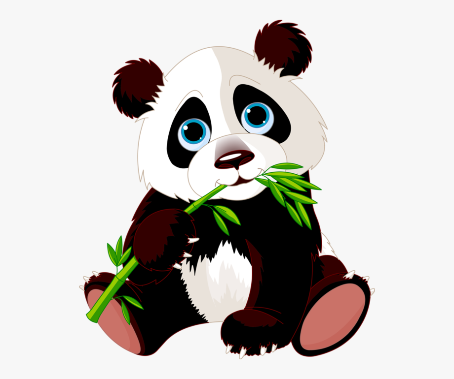 Cute pandas eating bamboo. Panda clipart terrestrial animal