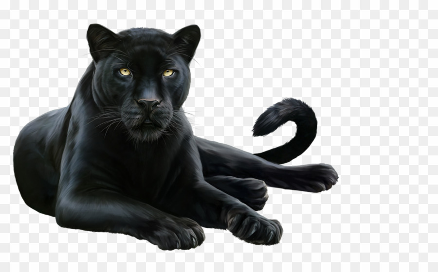 Animal png leopard download. Panther clipart black jaguar