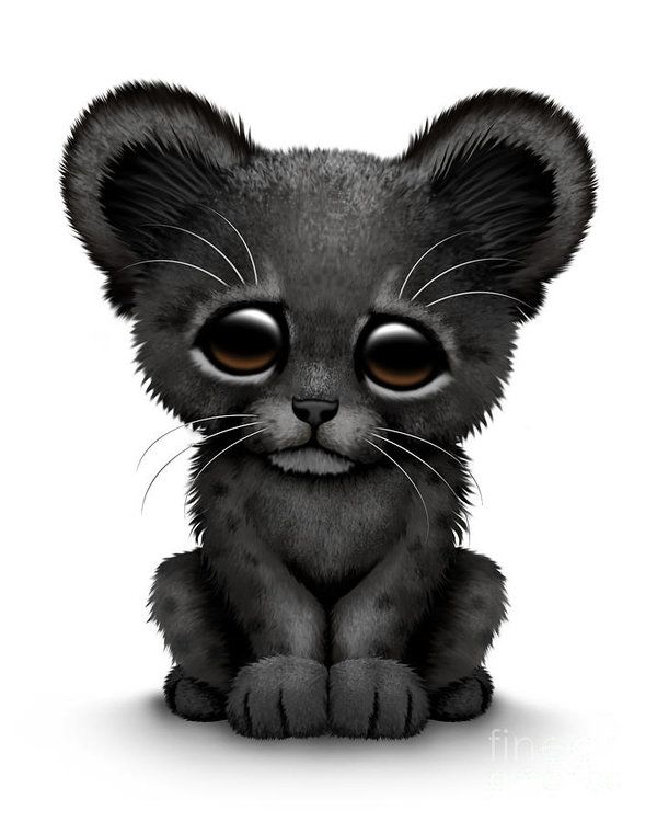 Pin on . Panther clipart cute baby