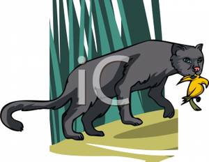 panther clipart dead