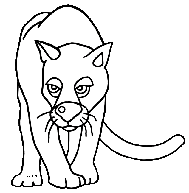 United states clip art. Panther clipart florida panther