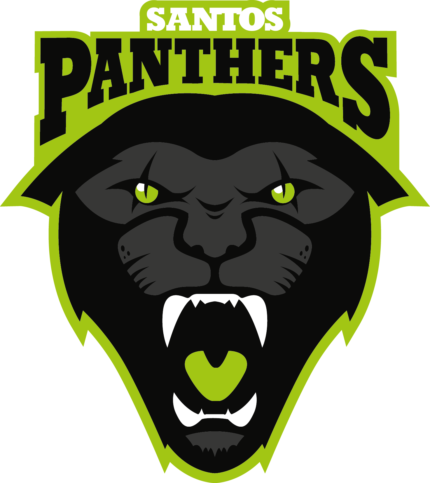 panther clipart nfl