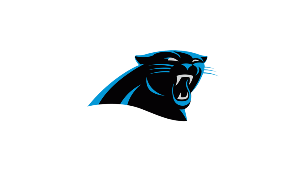 Panther nfl