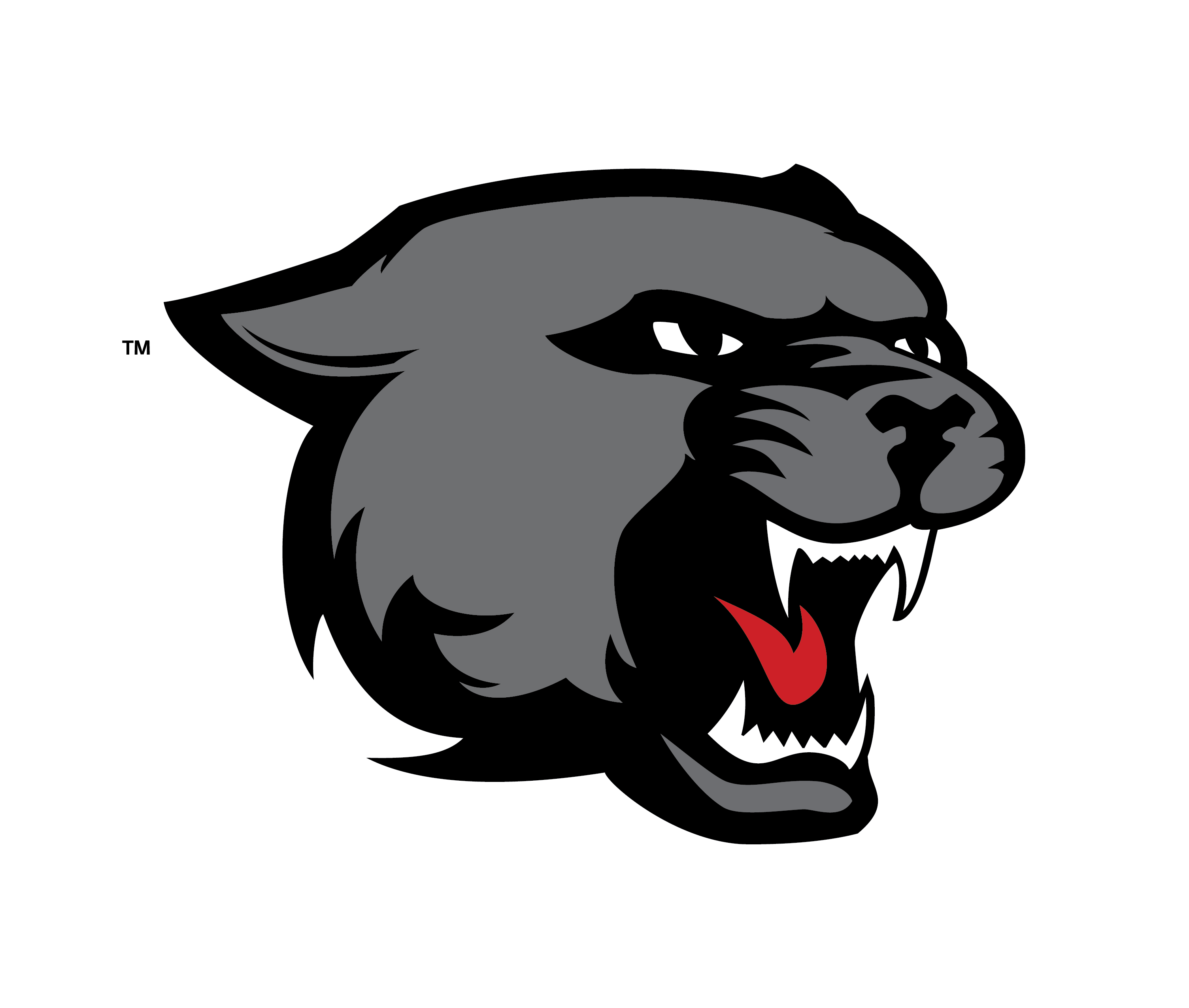 panther clipart panther head