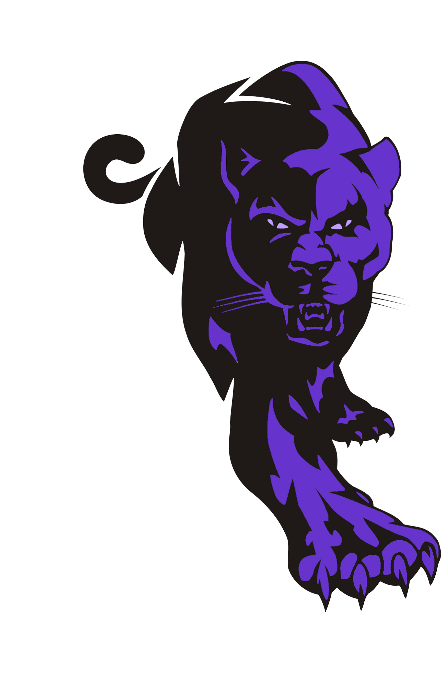 Panther clipart purple, Panther purple Transparent FREE for download on