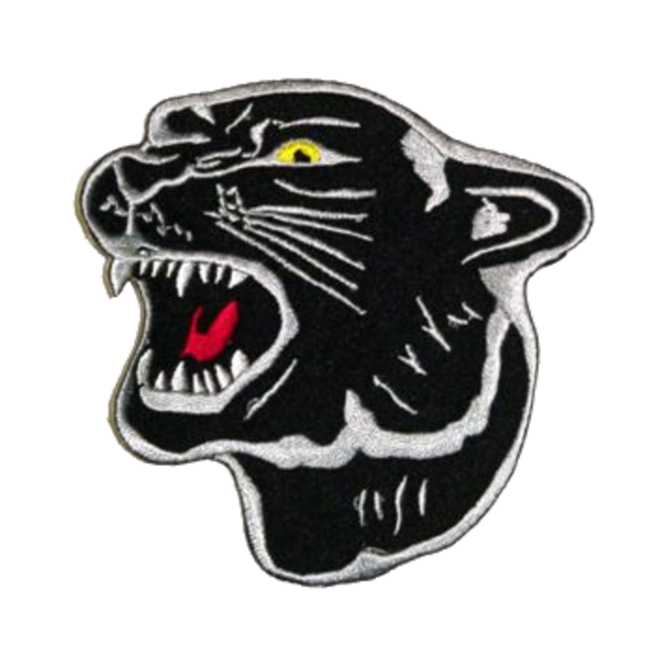 panther clipart putnam county