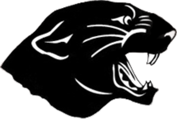 panther clipart team