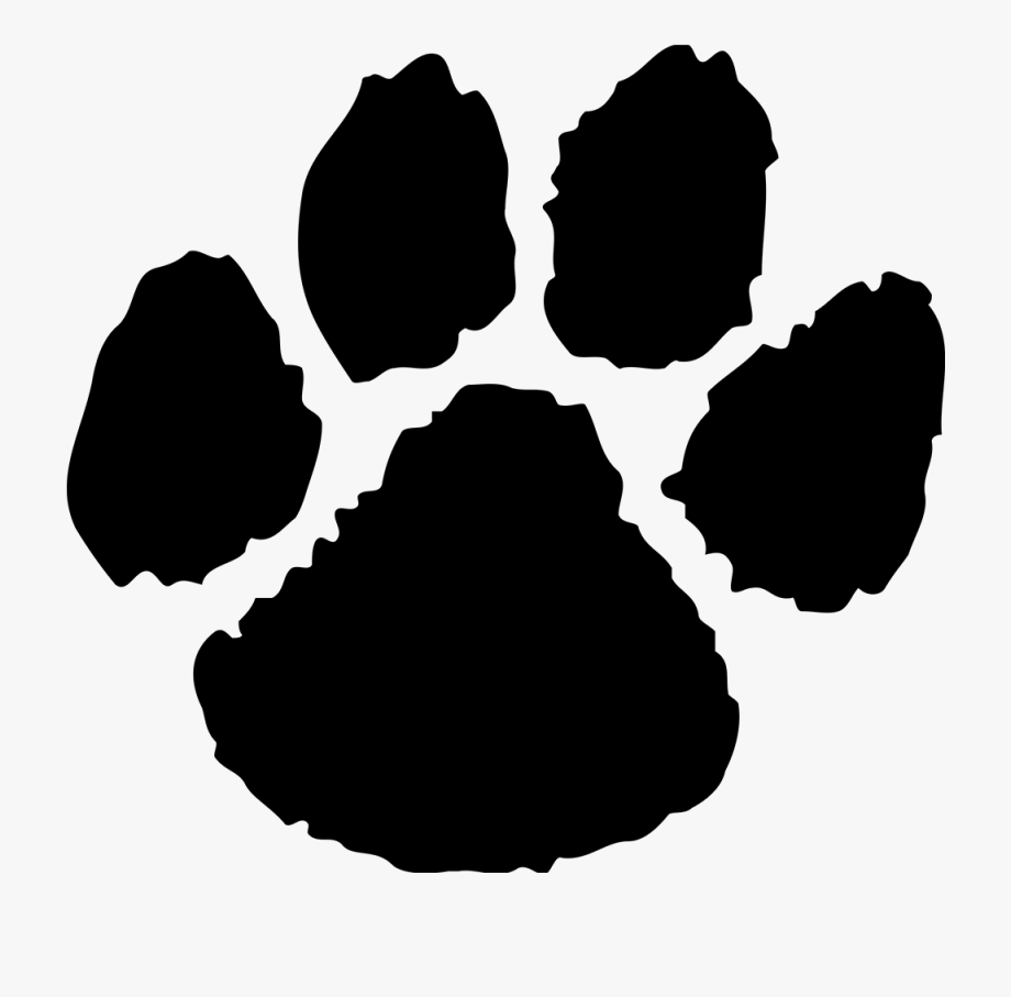 Download Paws clipart panther, Paws panther Transparent FREE for ...