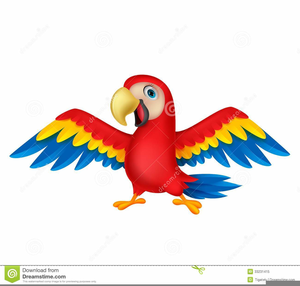 Amazon free images at. Parrot clipart