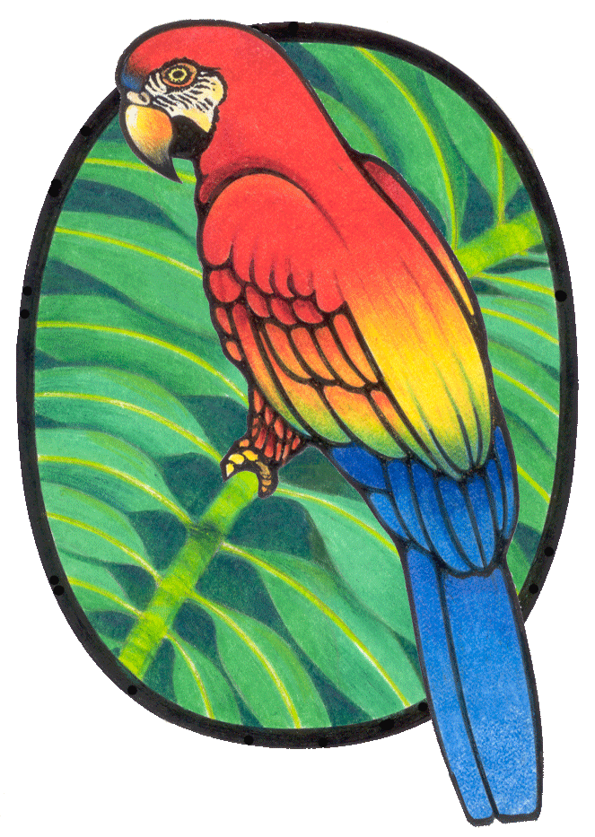 parrot clipart animation