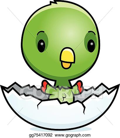 parrot clipart baby parrot