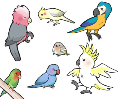 Parrot clipart chibi, Picture #3052160 parrot clipart chibi