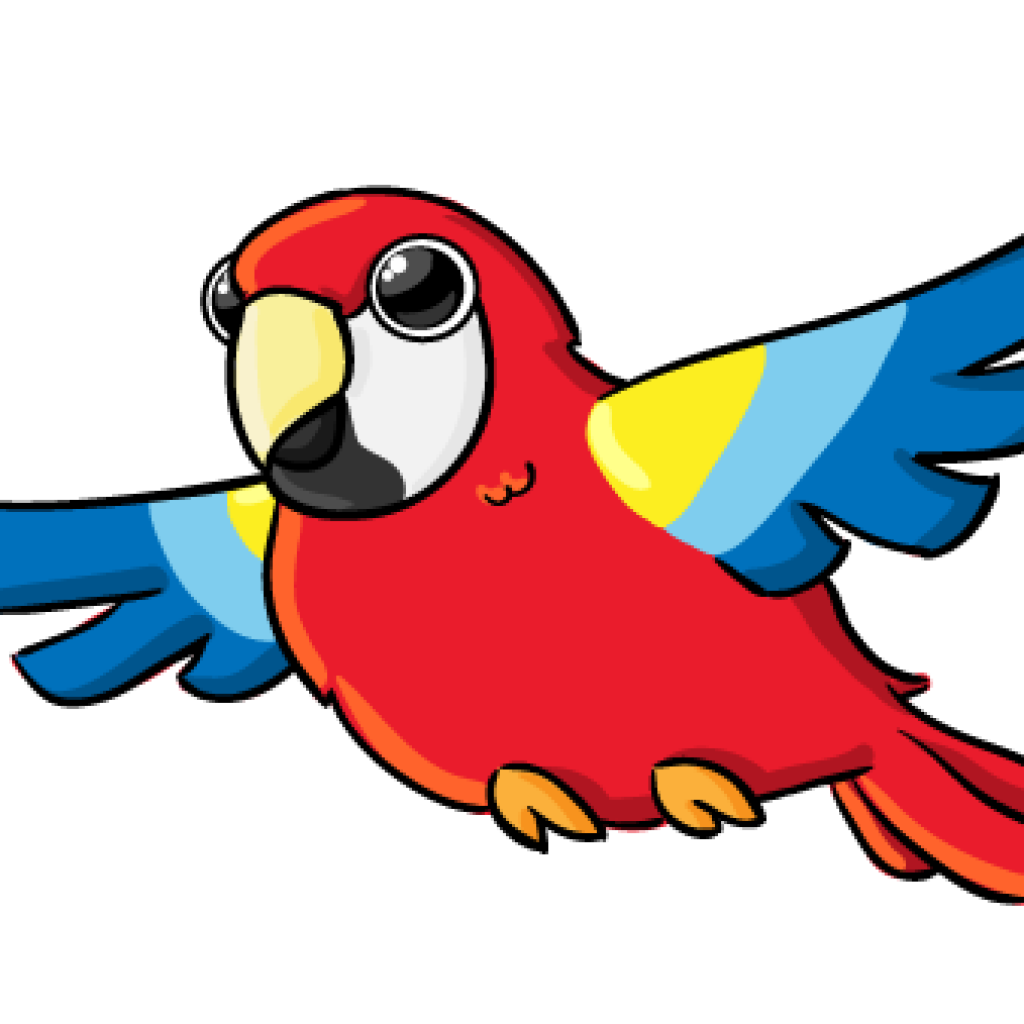 parrot clipart cute