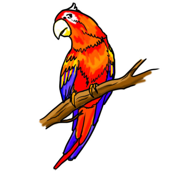 parrot clipart diagram