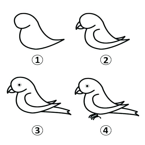 parrot clipart easy