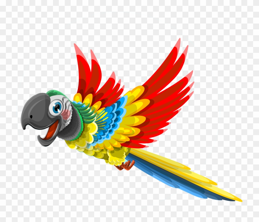 parrot clipart happy