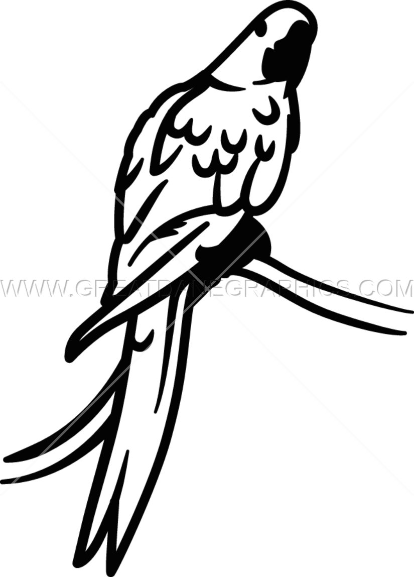 parrot clipart hyacinth macaw